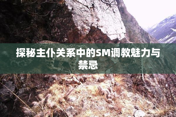 探秘主仆关系中的SM调教魅力与禁忌