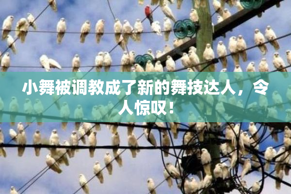 小舞被调教成了新的舞技达人，令人惊叹！