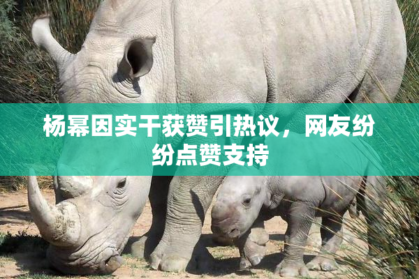 杨幂因实干获赞引热议，网友纷纷点赞支持