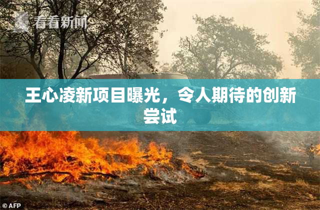 王心凌新项目曝光，令人期待的创新尝试