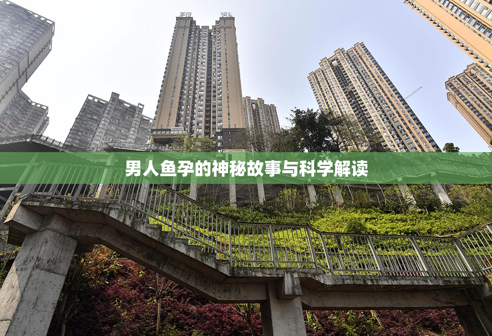 男人鱼孕的神秘故事与科学解读