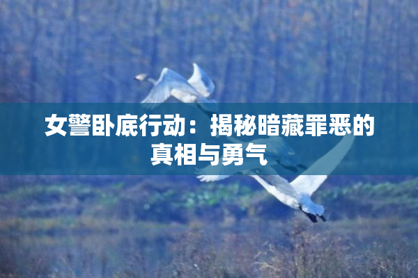 女警卧底行动：揭秘暗藏罪恶的真相与勇气