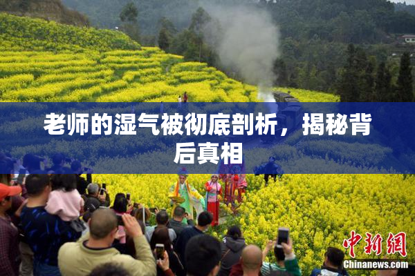 老师的湿气被彻底剖析，揭秘背后真相
