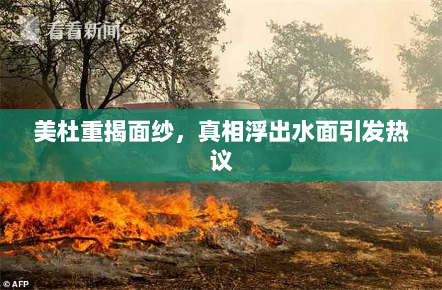 美杜重揭面纱，真相浮出水面引发热议