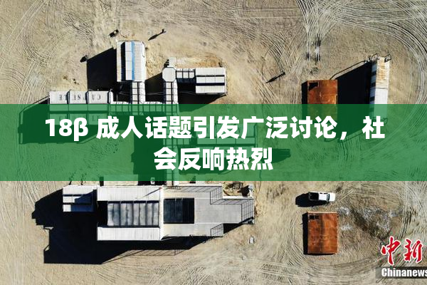 18β 成人话题引发广泛讨论，社会反响热烈