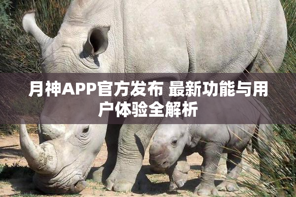 月神APP官方发布 最新功能与用户体验全解析