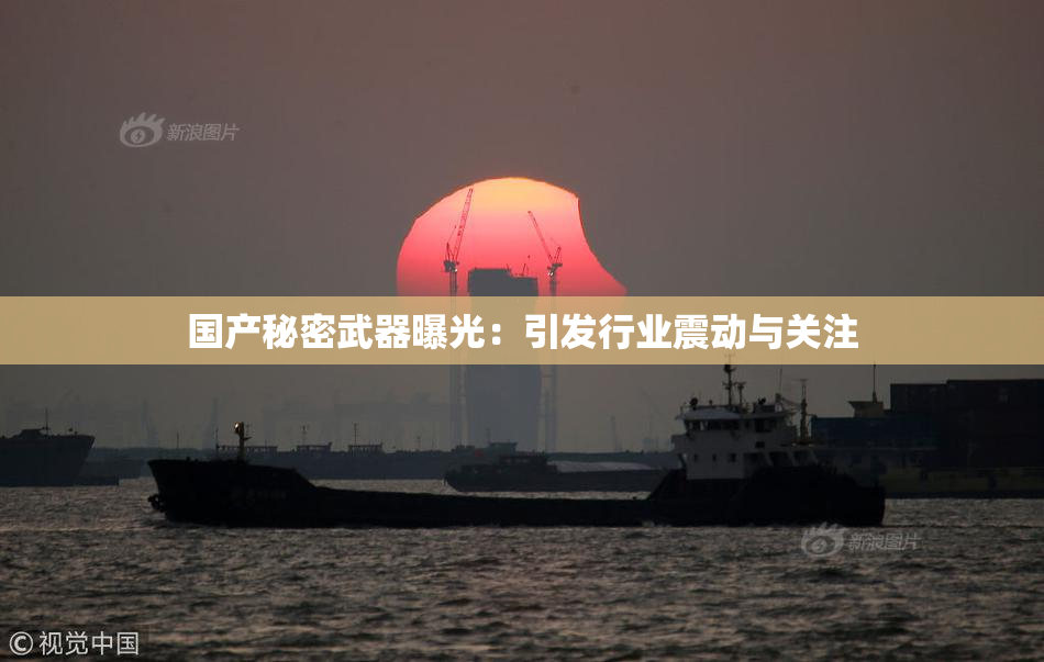 国产秘密武器曝光：引发行业震动与关注