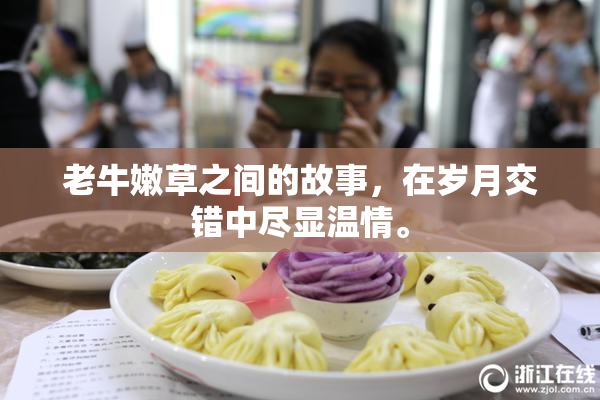 老牛嫩草之间的故事，在岁月交错中尽显温情。