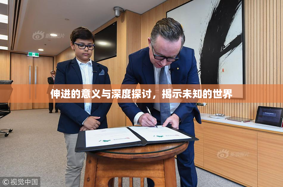 伸进的意义与深度探讨，揭示未知的世界