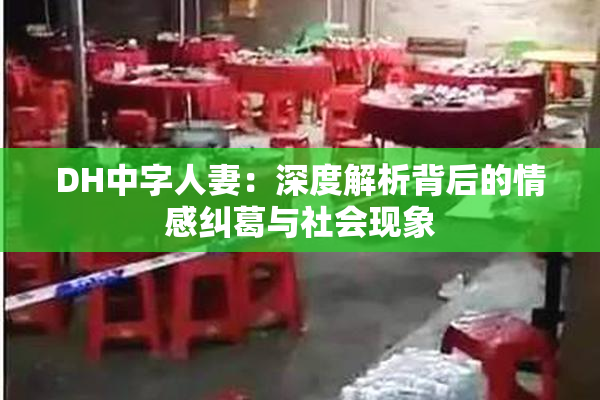 DH中字人妻：深度解析背后的情感纠葛与社会现象