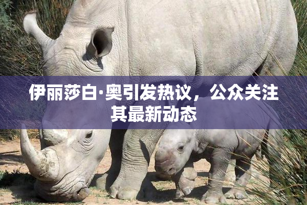 伊丽莎白·奥引发热议，公众关注其最新动态