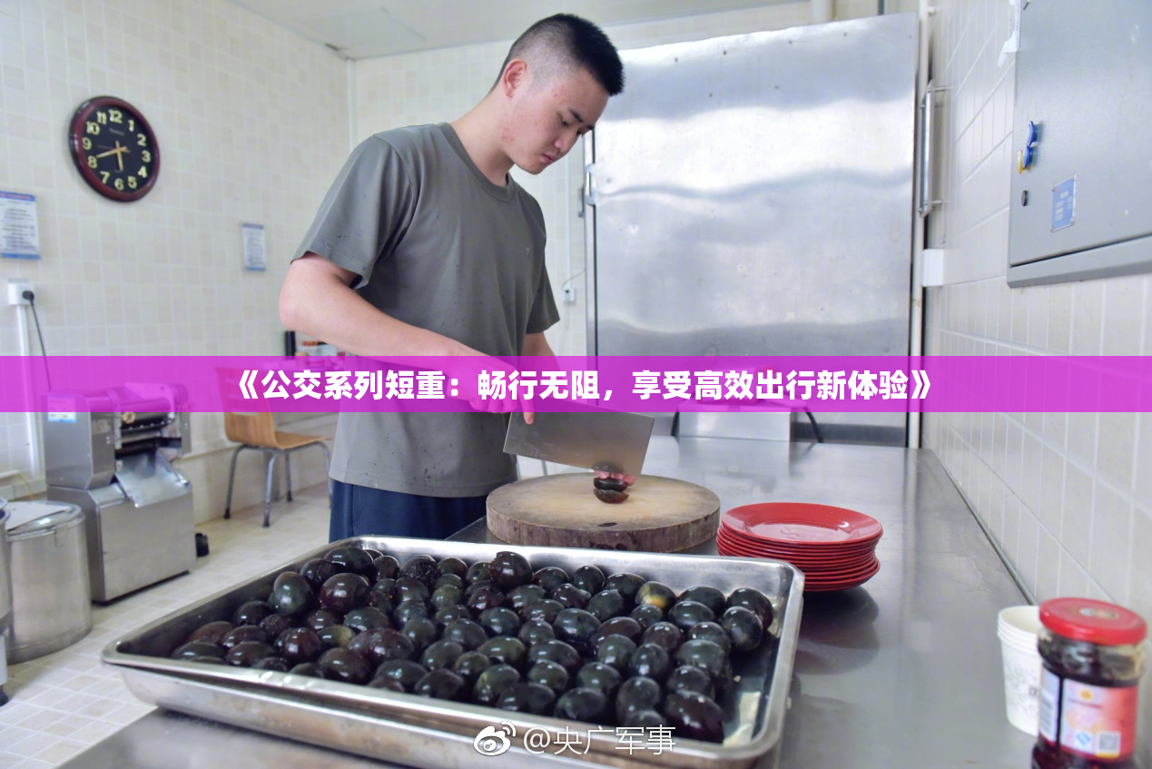 《公交系列短重：畅行无阻，享受高效出行新体验》