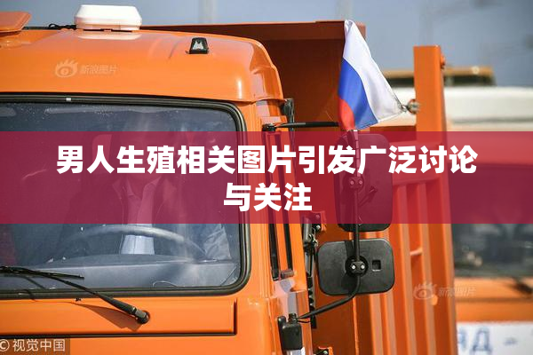 男人生殖相关图片引发广泛讨论与关注