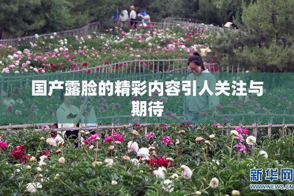 国产露脸的精彩内容引人关注与期待