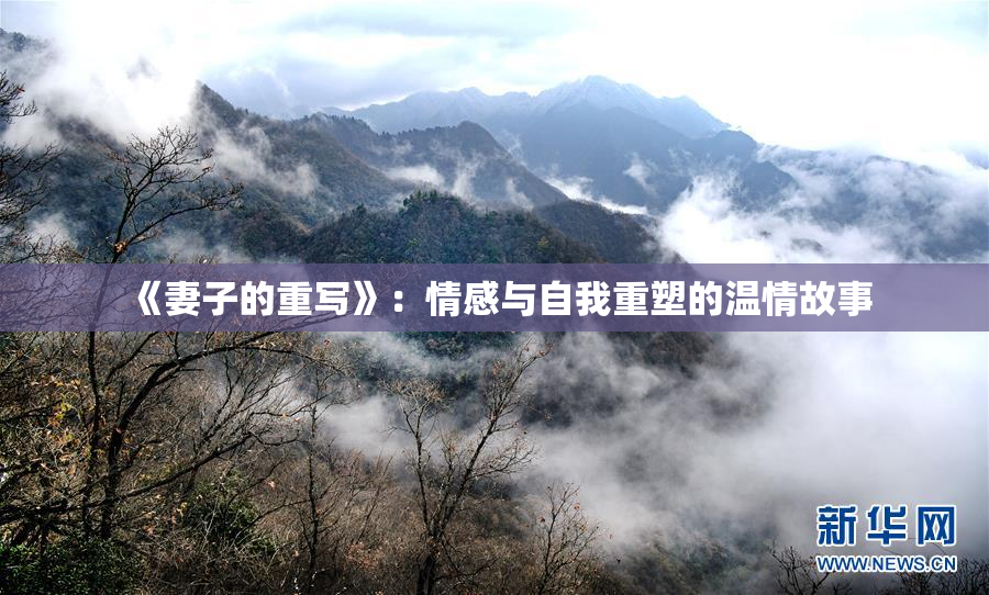 《妻子的重写》：情感与自我重塑的温情故事