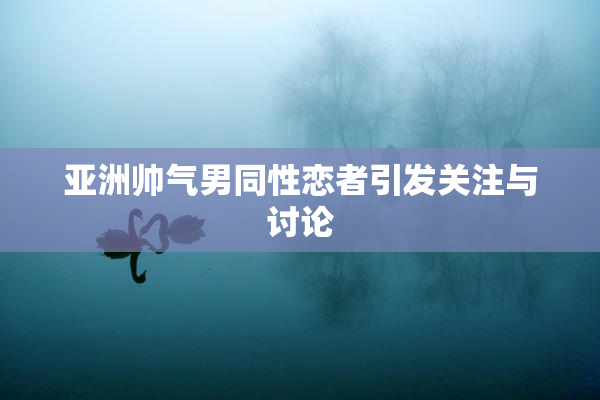 亚洲帅气男同性恋者引发关注与讨论
