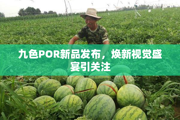 九色POR新品发布，焕新视觉盛宴引关注
