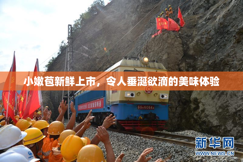小嫩苞新鲜上市，令人垂涎欲滴的美味体验