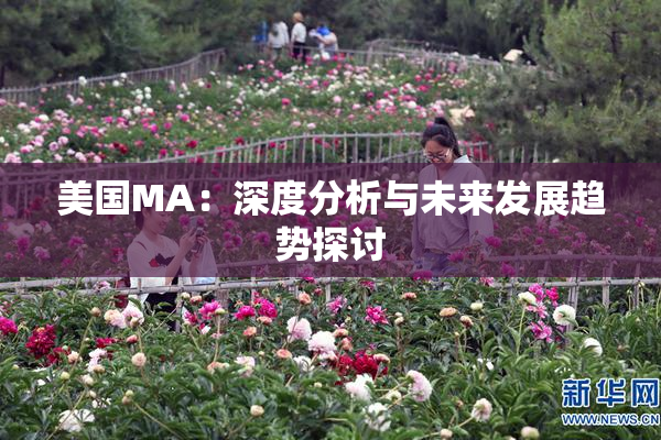 美国MA：深度分析与未来发展趋势探讨