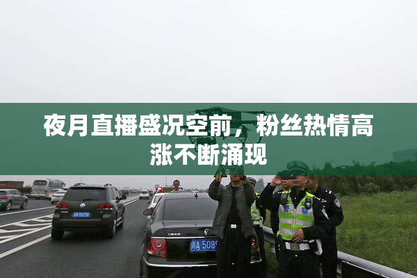 夜月直播盛况空前，粉丝热情高涨不断涌现