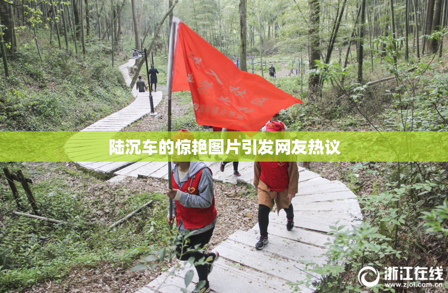 陆沉车的惊艳图片引发网友热议
