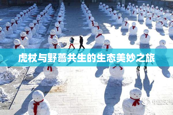 虎杖与野蔷共生的生态美妙之旅