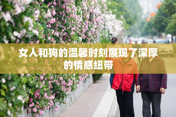 女人和狗的温馨时刻展现了深厚的情感纽带