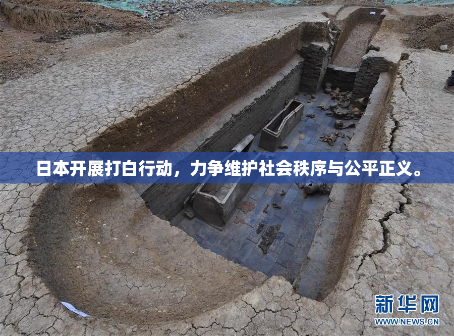 日本开展打白行动，力争维护社会秩序与公平正义。