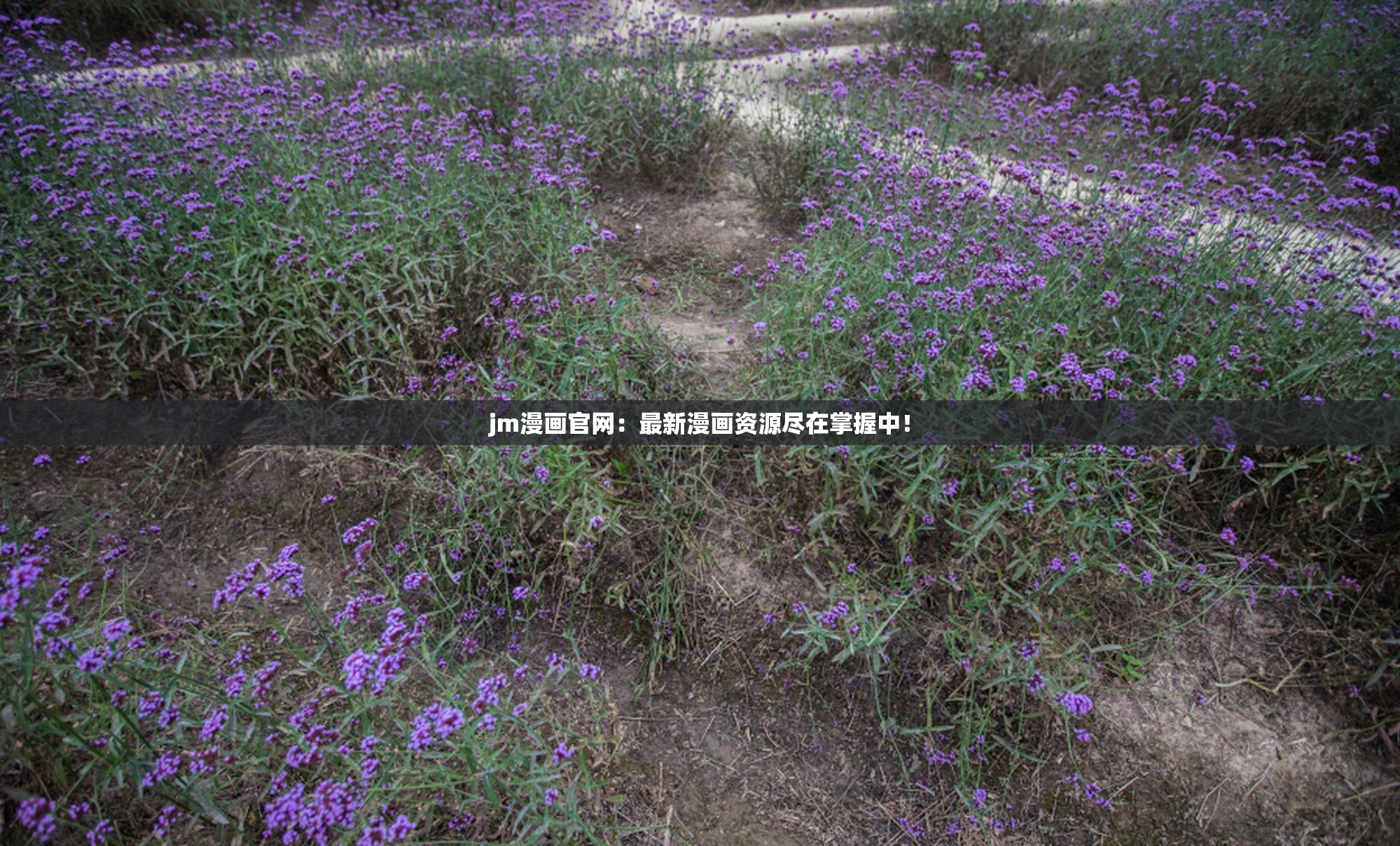 jm漫画官网：最新漫画资源尽在掌握中！