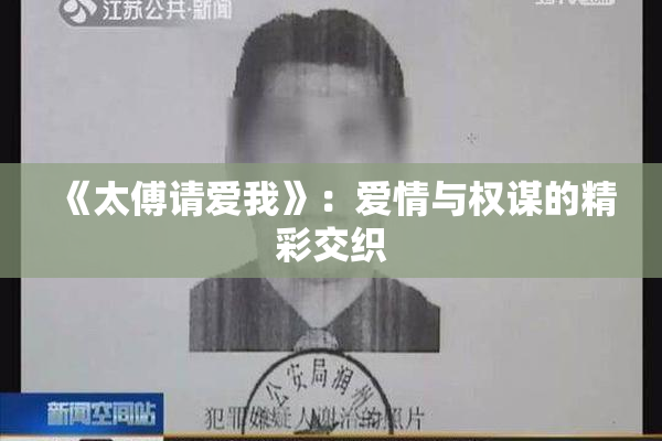 《太傅请爱我》：爱情与权谋的精彩交织