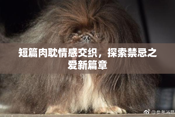 短篇肉耽情感交织，探索禁忌之爱新篇章