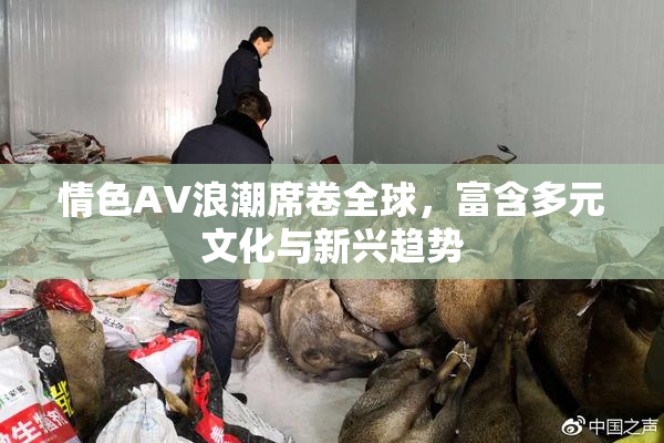 情色AV浪潮席卷全球，富含多元文化与新兴趋势