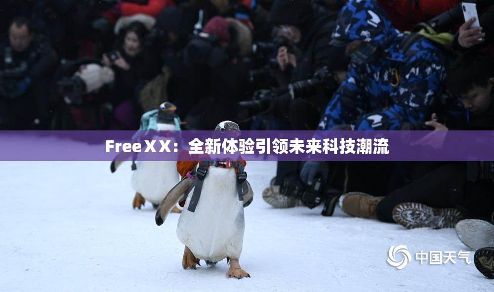 FreeⅩX：全新体验引领未来科技潮流