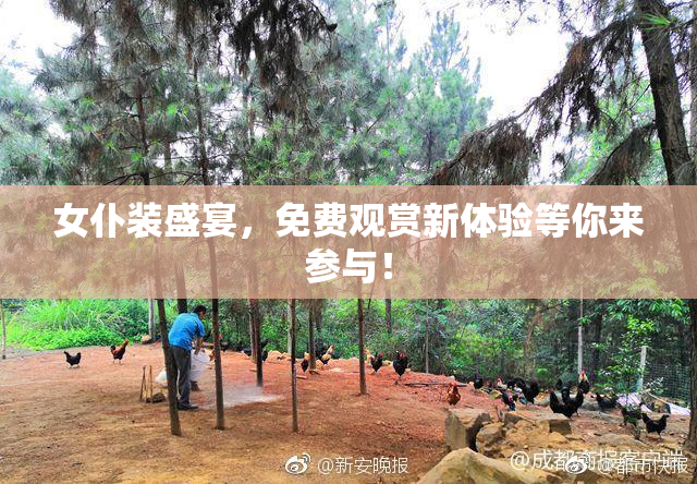 女仆装盛宴，免费观赏新体验等你来参与！
