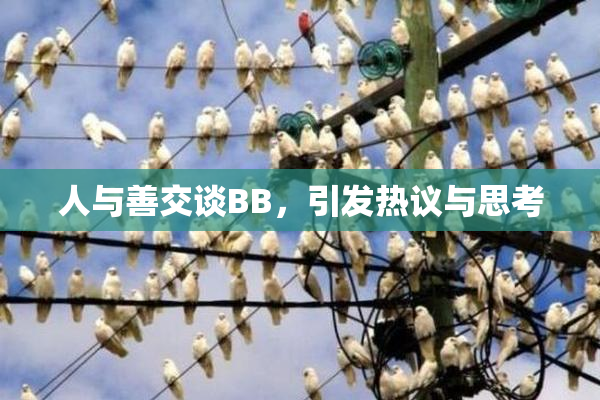人与善交谈BB，引发热议与思考