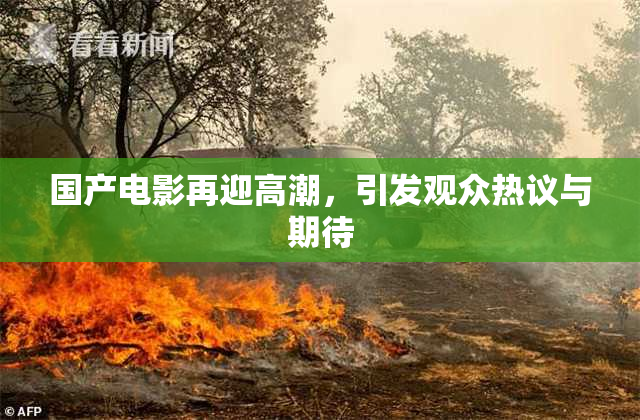 国产电影再迎高潮，引发观众热议与期待