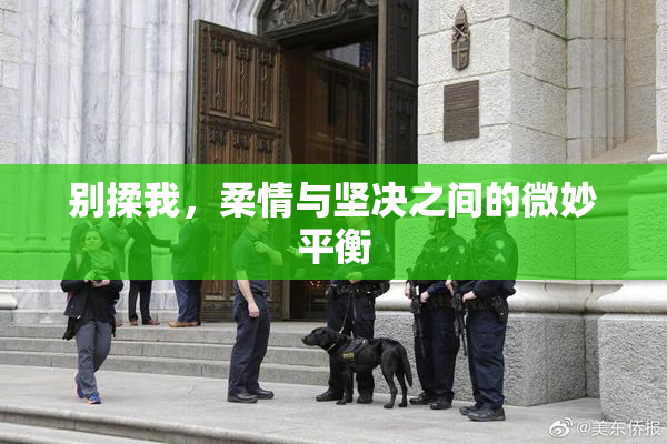 别揉我，柔情与坚决之间的微妙平衡