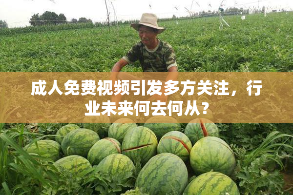 成人免费视频引发多方关注，行业未来何去何从？