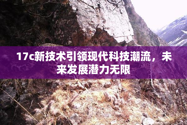 17c新技术引领现代科技潮流，未来发展潜力无限