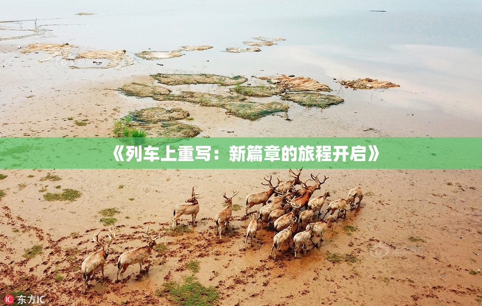 《列车上重写：新篇章的旅程开启》