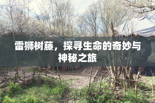 雷狮树藤，探寻生命的奇妙与神秘之旅