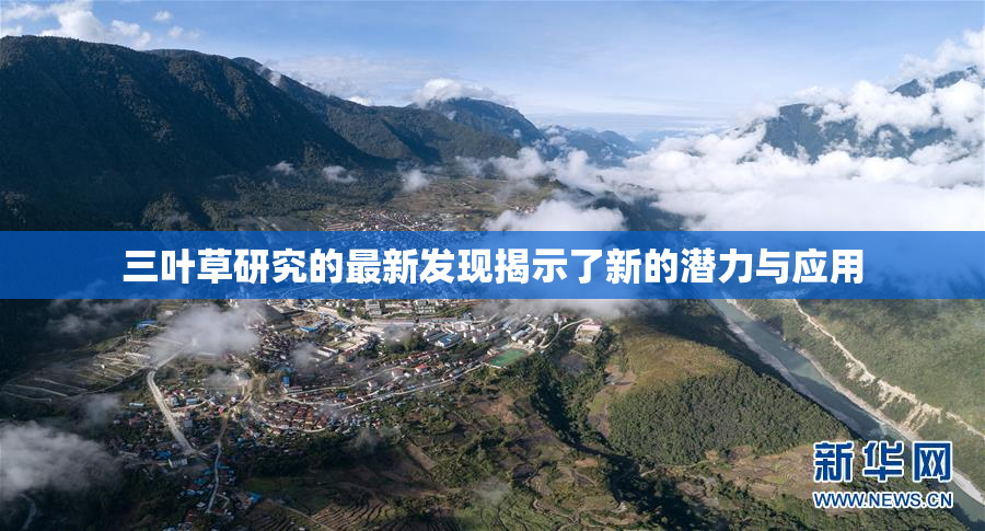 三叶草研究的最新发现揭示了新的潜力与应用