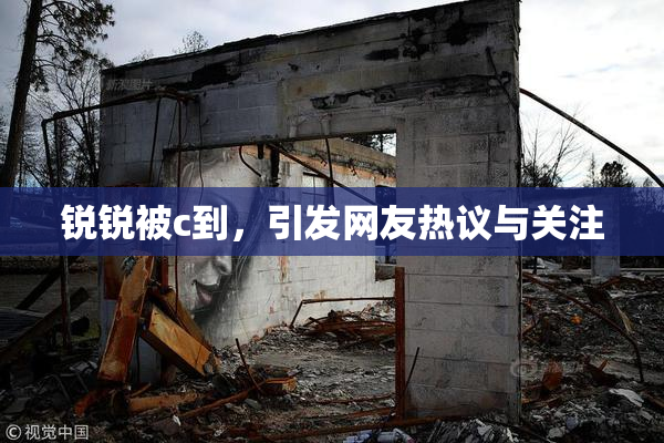 锐锐被c到，引发网友热议与关注