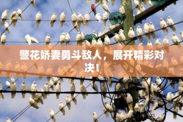 警花娇妻勇斗敌人，展开精彩对决！