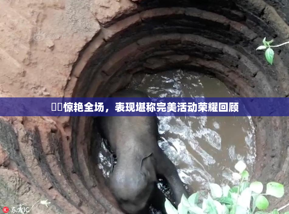 妺妺惊艳全场，表现堪称完美活动荣耀回顾