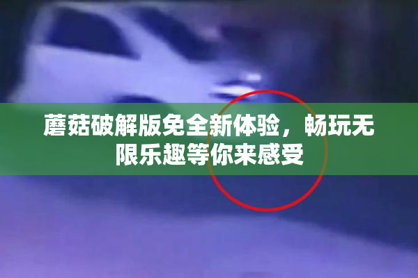 蘑菇破解版免全新体验，畅玩无限乐趣等你来感受