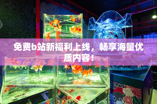 免费b站新福利上线，畅享海量优质内容！