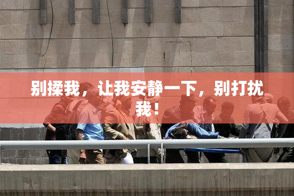 别揉我，让我安静一下，别打扰我！