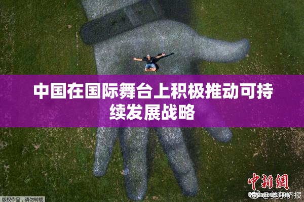 中国在国际舞台上积极推动可持续发展战略