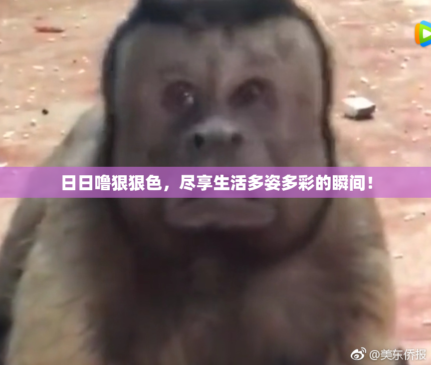 日日噜狠狠色，尽享生活多姿多彩的瞬间！